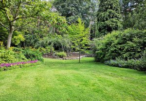 Optimiser l'expérience du jardin à Dampierre-sur-Boutonne